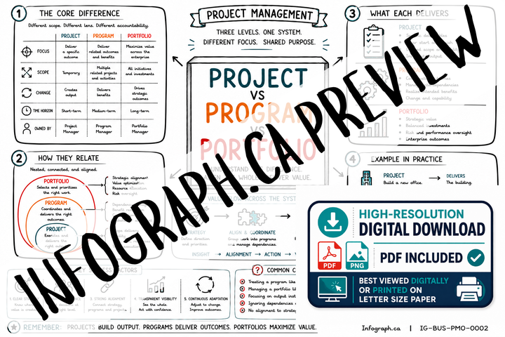 Project vs Program vs Portfolio