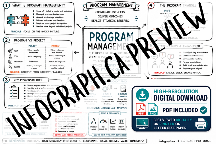 Program Management